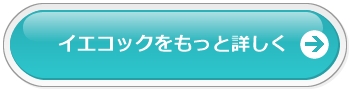 イエコックの詳細